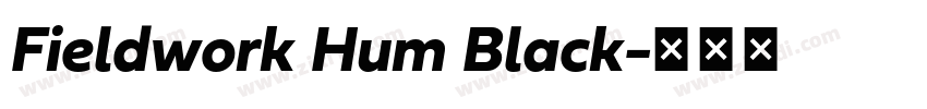 Fieldwork Hum Black字体转换